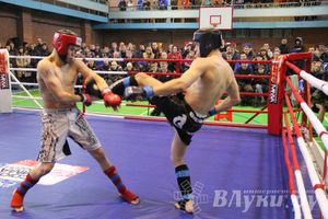 В Великих Луках прошел межрегиональный Открытый Кубок по смешанному боевому единоборству (фото)