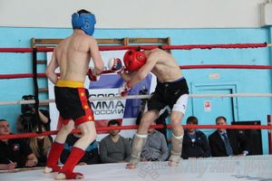 Чемпионат Псковской области по ММА