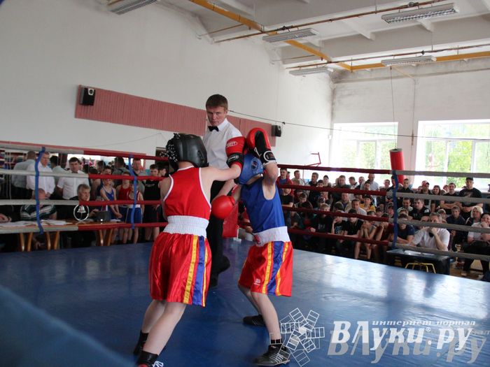 Первенство города по боксу