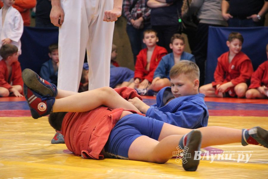 Открытый турнир по самбо «Новогодняя звезда-2019» прошел в Великих Луках (ФОТО)