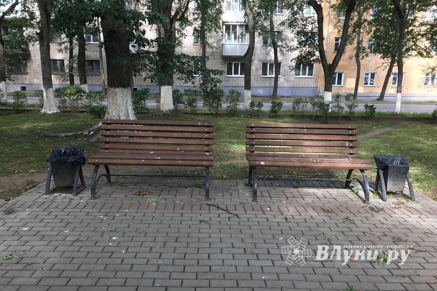 Парк Пушкина: «... А вкруг меня глухое запустенье...» (ФОТО)