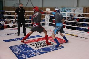 В Великих Луках прошло Первенство России по смешанному боевому единоборству (ФОТО)