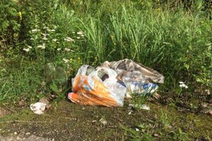 На обочину трассы Булынино-Невель выбрасывают даже автомобили (ФОТО)