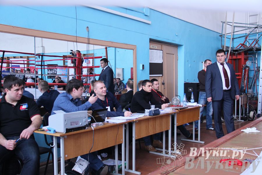 Открытый Кубок города Великие Луки по смешанному боевому единоборству (ММА)