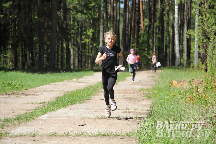В Великолукском районе прошли массовые соревнований по спортивному ориентированию (фото)