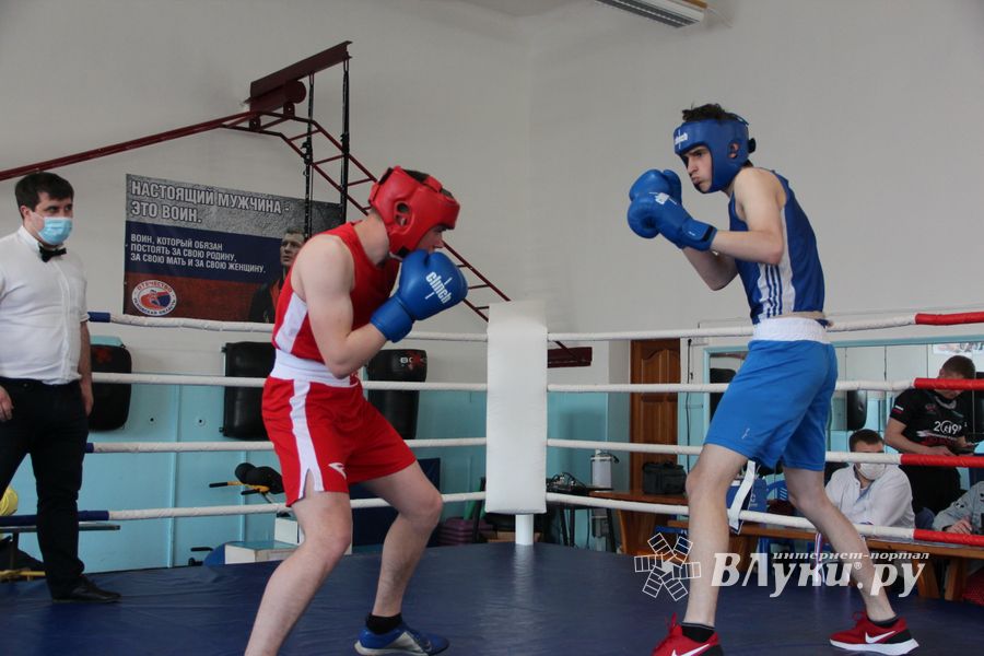 В Великих Луках завершился открытый турнир по боксу (ФОТО)