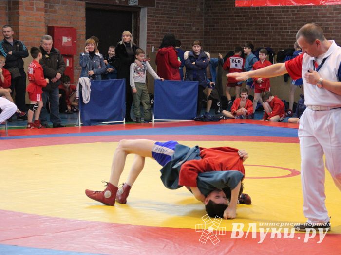 Великолукские самбисты завоевали 45 медалей на открытом первенстве города (ФОТО)