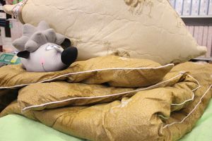 ​Как дождаться отопительного сезона в Великих Луках