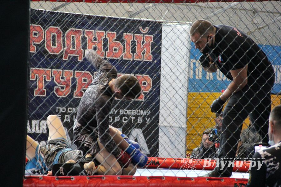 В Великих Луках прошел кубок по смешанному боевому единоборству (ФОТО)