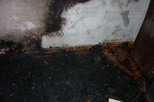 В Великих Луках горела квартира (фото)