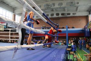 16-й Международный турнир по боксу (фото)