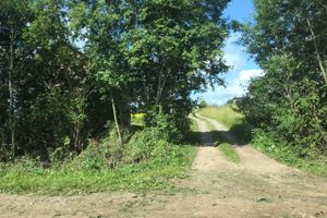 Дачников Великих лук порадовали районные дорожник (ФОТО)