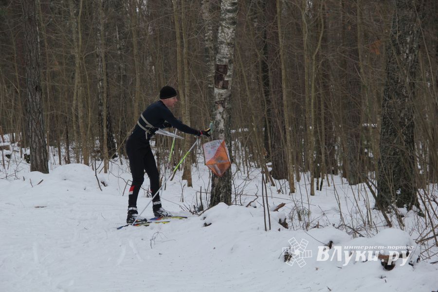 В Великолукском районе прошли соревнования по спортивному ориентированию на лыжах (фото)