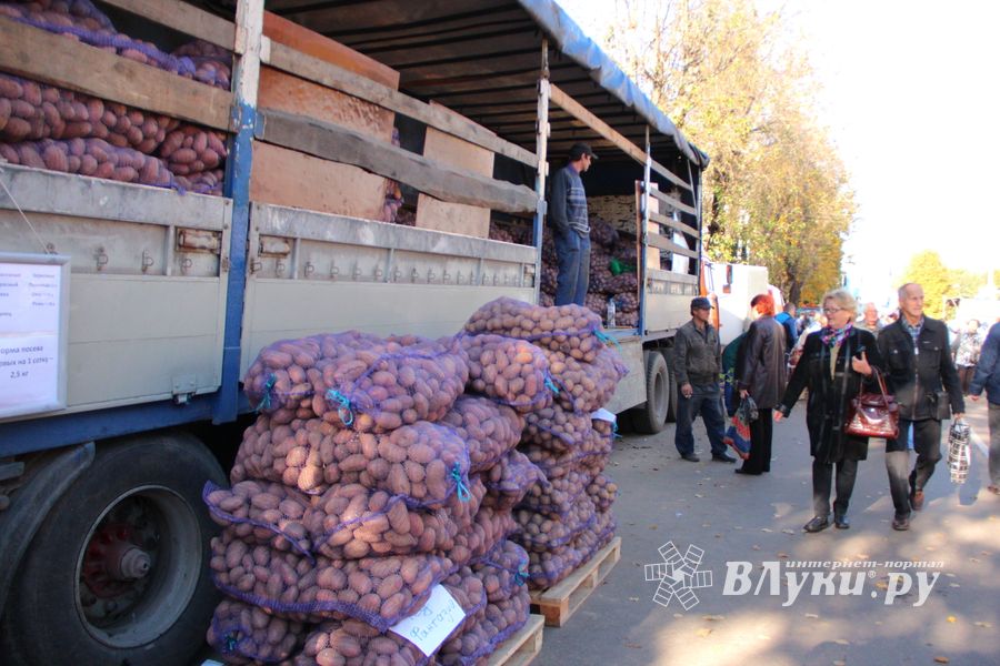 Торговая ярмарка «Осень-2016» прошла в Великих Луках (ФОТО)