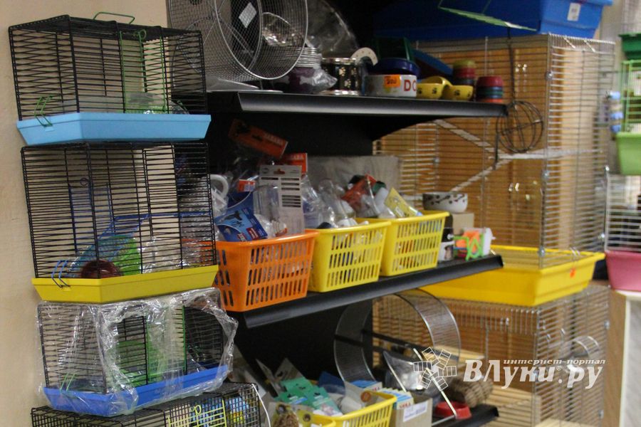 «Zooбастики»: подарите праздник своим любимцам! (ФОТО+ВИДЕО)