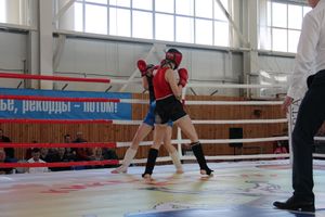 В Великих Луках прошел Кубок области по кикбоксингу (ФОТО)