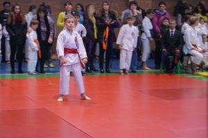 В Великих Луках прошли соревнования по каратэ (ФОТО)