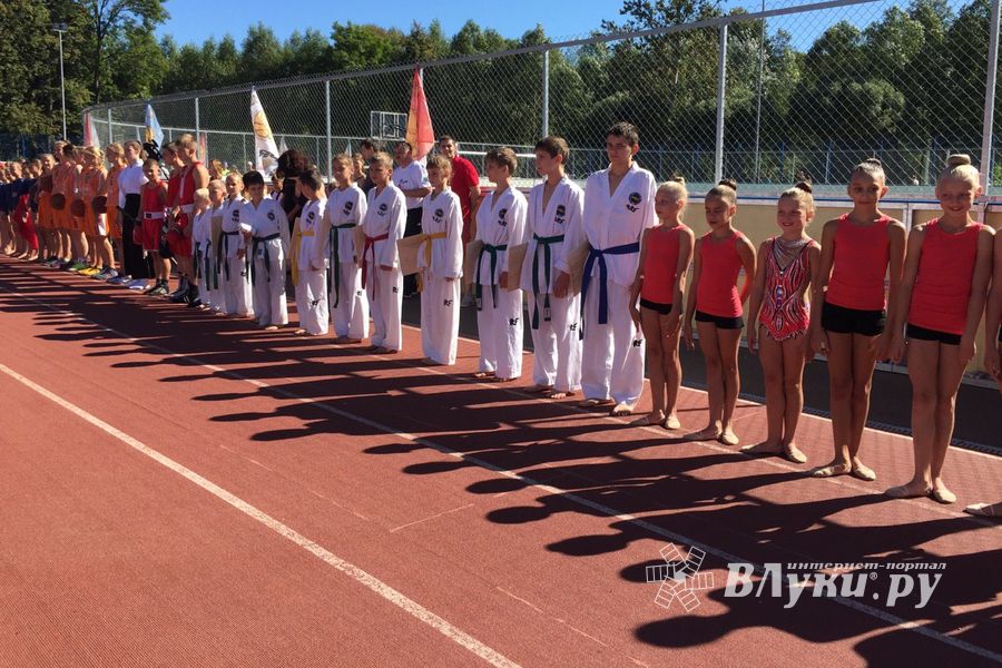 Спортивно-массовые мероприятия в честь Дня города (ФОТО)