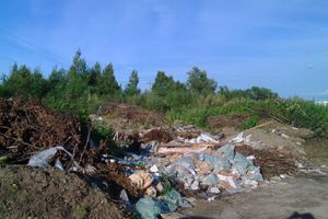 В Великих Луках, на берегу Лазавицы, сваливают кресты, венки и мебель (ФОТО)