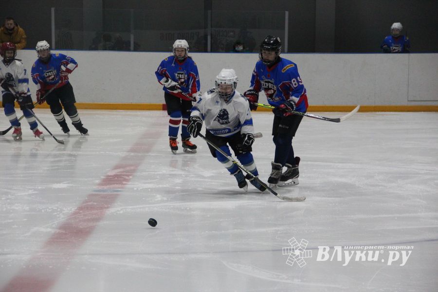 В Великих Луках прошел детский Открытый турнир по хоккею (ФОТО)
