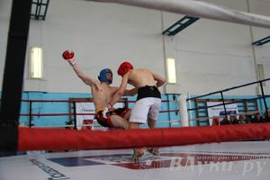 Чемпионат Псковской области по ММА