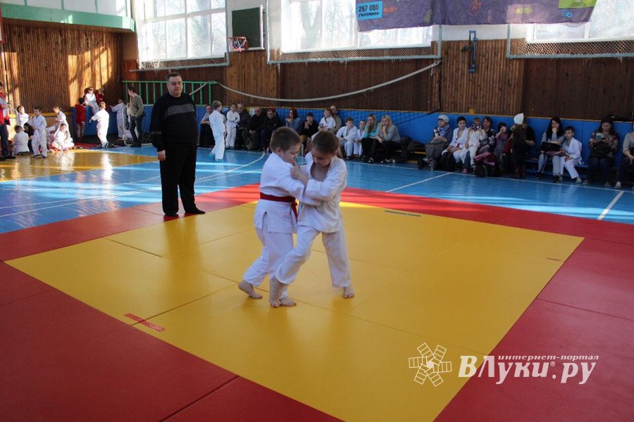 Юные великолучане приняли участие в турнире по дзюдо «Крепыш» (ФОТО)