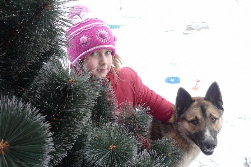 Объявляем победителей фотоконкурса «Косточка к Новому году» (ФОТО)