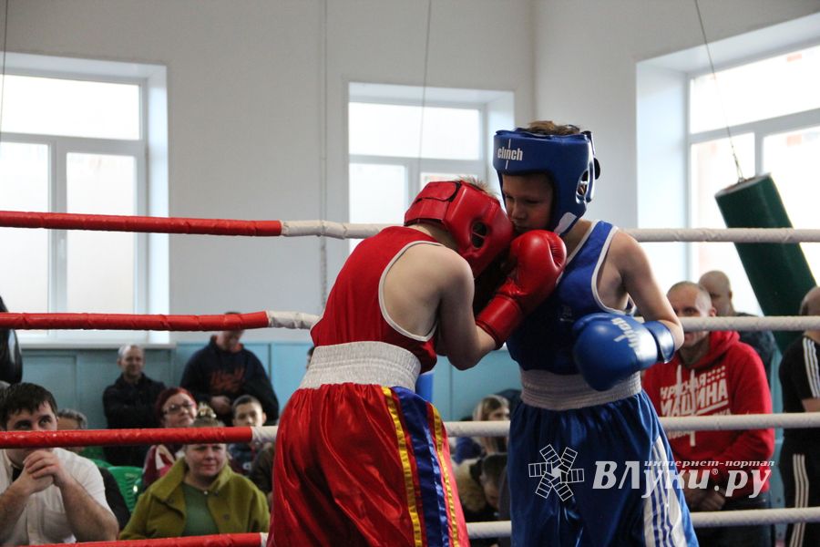 В Великих Луках завершились соревнования по боксу (ФОТО)