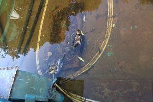 Страшнее, чем у Хичкока — фонтан в Великих Луках (ФОТО 16+)