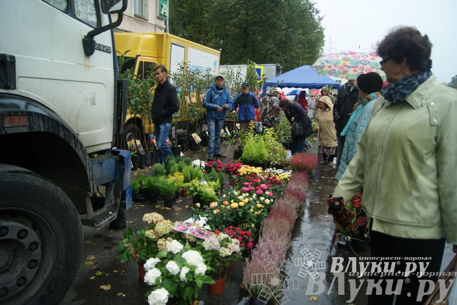 ​Универсальная торговая ярмарка «Осень – 2014» состоялась  в Великих Луках