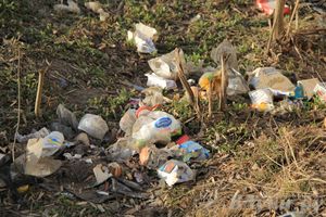 Город в ожидании субботника