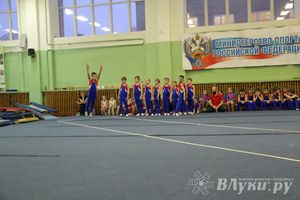 В Великих Луках состоялось Первенство по командной гимнастике (фото)