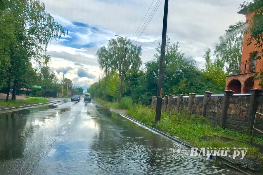 Луки в лужах (ФОТО)