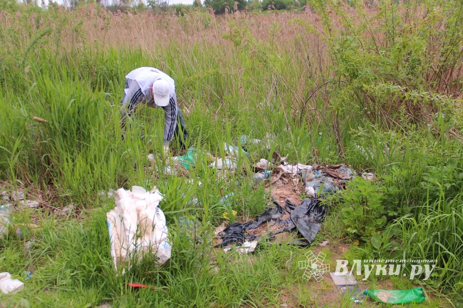«Партия Дела» делает дело