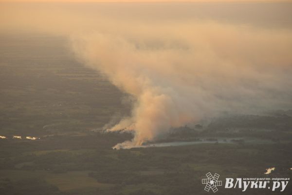 На территории Псковской области введен особый противопожарный режим