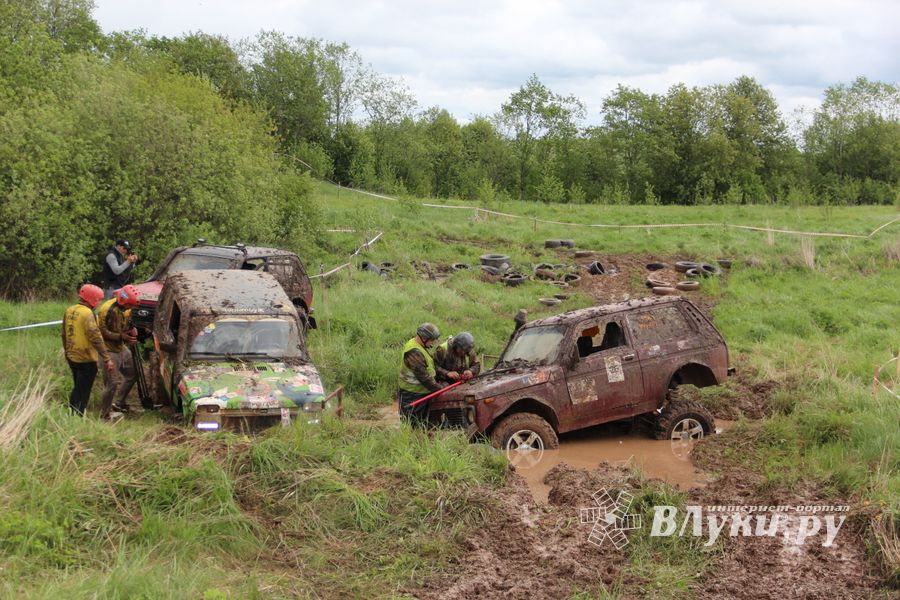 Кураж (ФОТО)