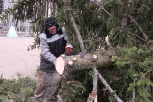 Необычное украшение сняли с главной ёлки Великих Лук (ФОТО)