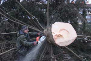 Необычное украшение сняли с главной ёлки Великих Лук (ФОТО)