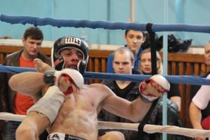 Открытый Кубок города Великие Луки по смешанному боевому единоборству (ММА)