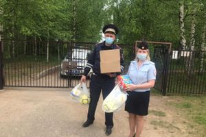 Полицейские поздравили детей в Великолукском районе (ФОТО)