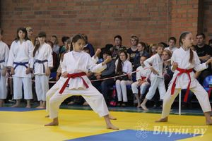 Великолучане стали победителями турнира по каратэ «Неприкосновенный запас, дети — Отчизны 2015» (фото)