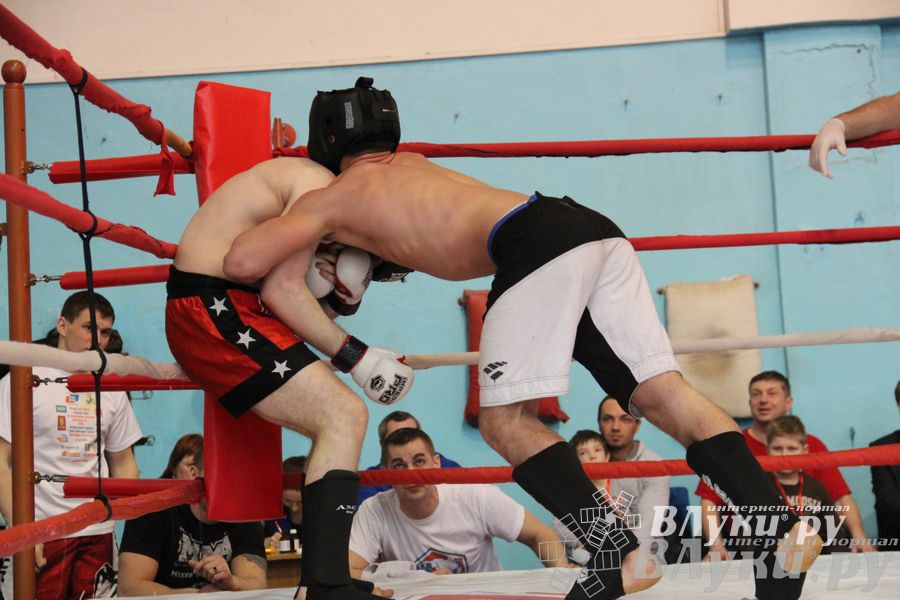 Открытый Кубок города Великие Луки по смешанному боевому единоборству (ММА)