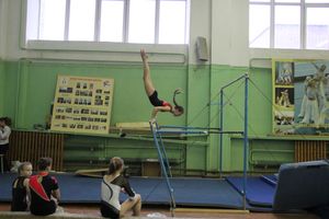 В Великих Луках прошло Первенство города по спортивной гимнастике (фото)