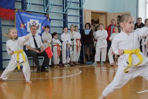 В Великих Луках прошел  турнир по Шотокан каратэ