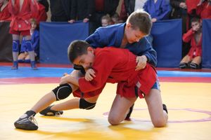 Великолучане завоевали награды турнира по самбо «Память» (ФОТО)