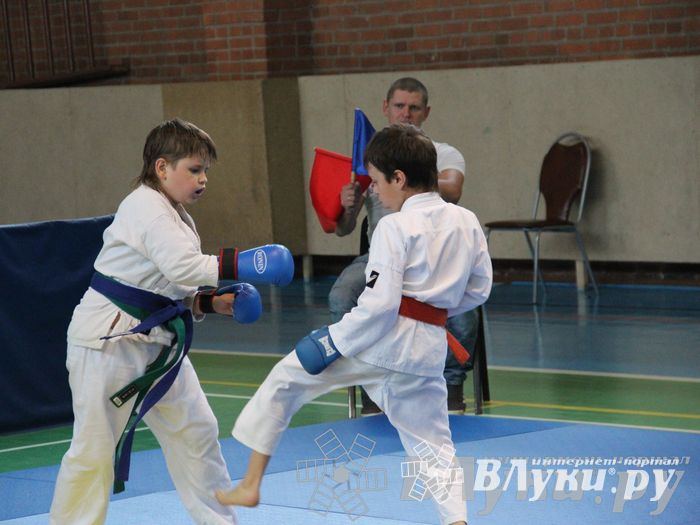 Турнир по каратэ «Неприкосновенный запас — дети Отчизны»