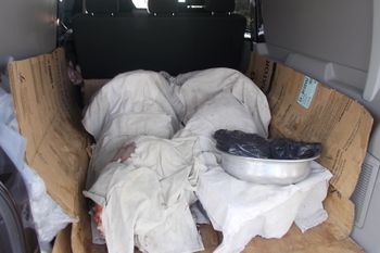 Мужчина хотел провезти 360 кг говядины из Псковской области без соответствующих документов (ФОТО)