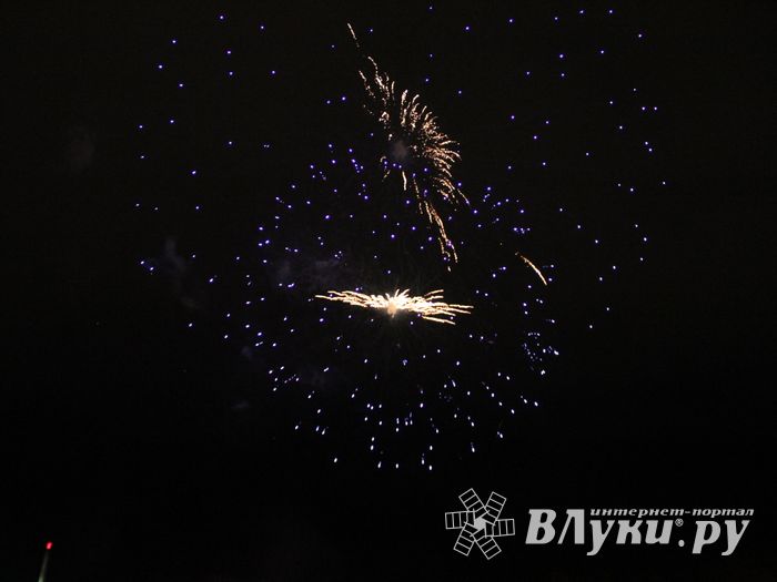 В Великих Луках зажглась новогодная ёлка (ФОТО)