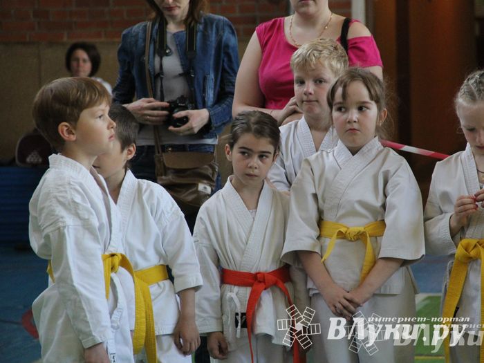 Великолучане стали победителями турнира по каратэ «Неприкосновенный запас, дети — Отчизны 2015» (фото)