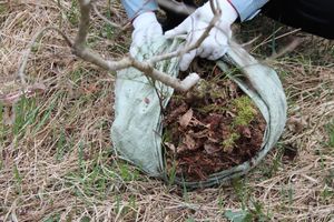 Городские СМИ провели субботник (ФОТО)